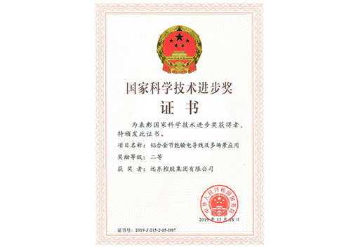 國家科學技術(shù)進步獎二等獎